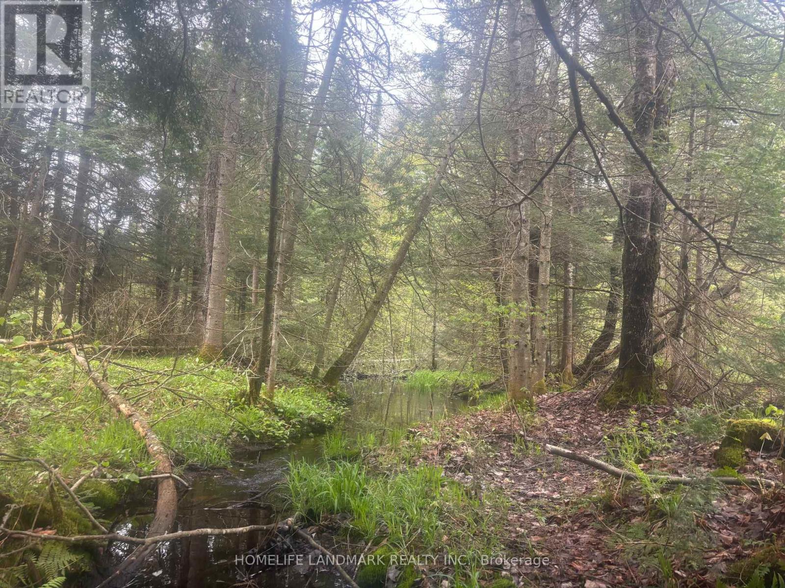 1995 Bear Cave Road, Muskoka Lakes, Ontario  P0C 1J0 - Photo 17 - X12111246