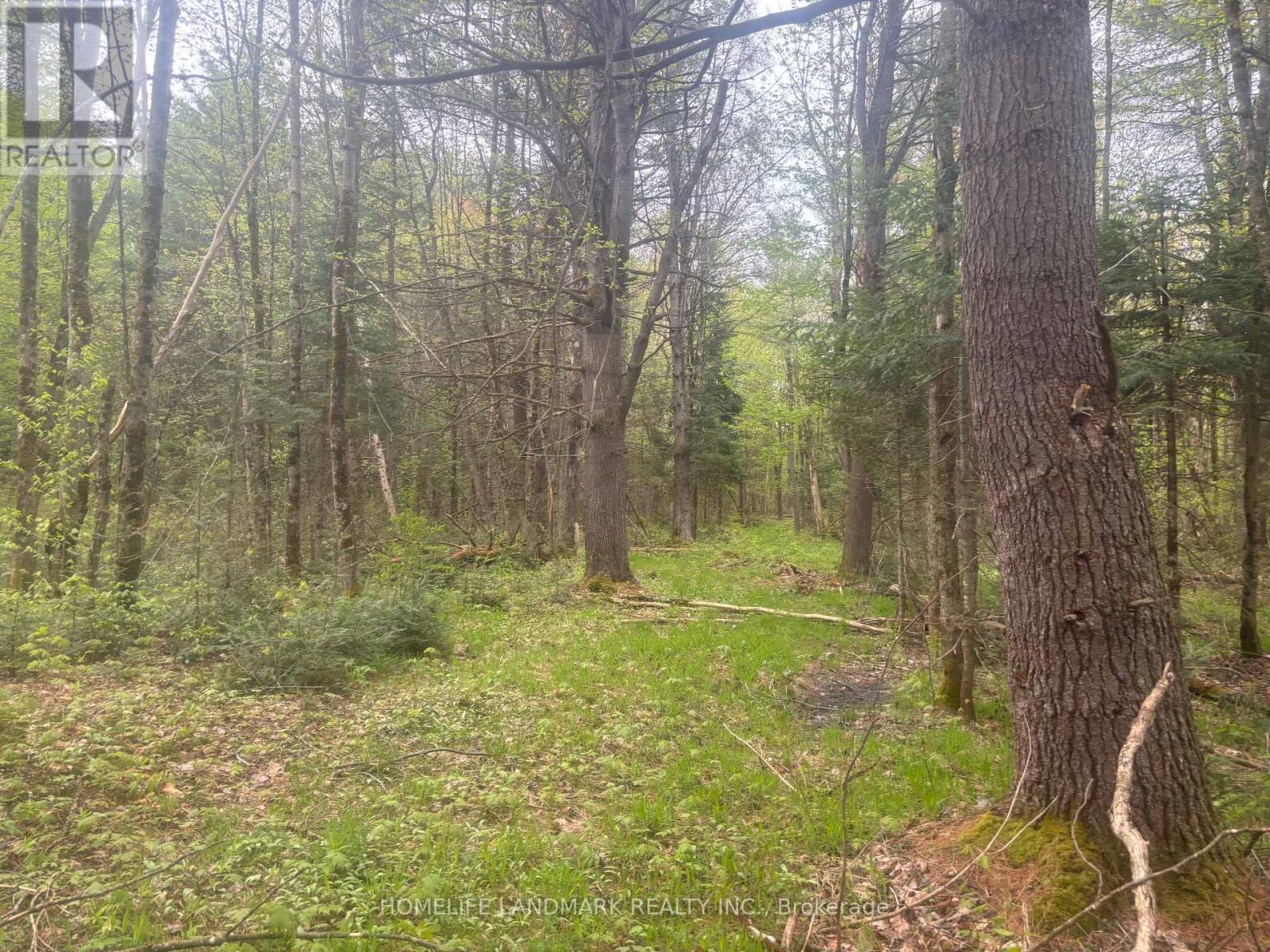 1995 Bear Cave Road, Muskoka Lakes, Ontario  P0C 1J0 - Photo 14 - X12111246