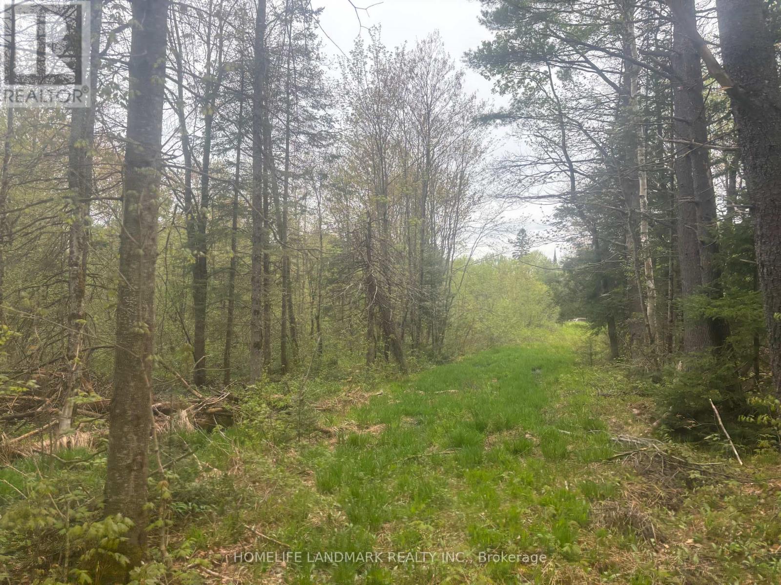 1995 Bear Cave Road, Muskoka Lakes, Ontario  P0C 1J0 - Photo 12 - X12111246
