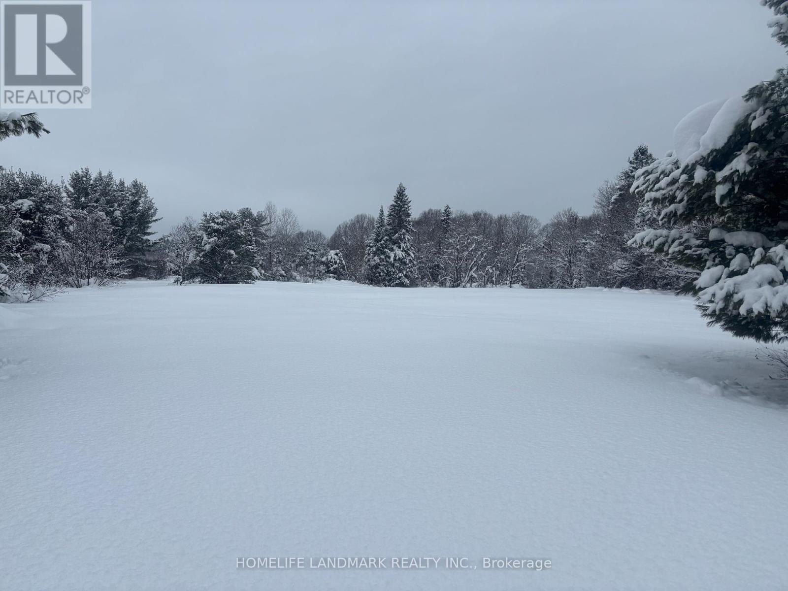 1995 Bear Cave Road, Muskoka Lakes, Ontario  P0C 1J0 - Photo 22 - X12111246