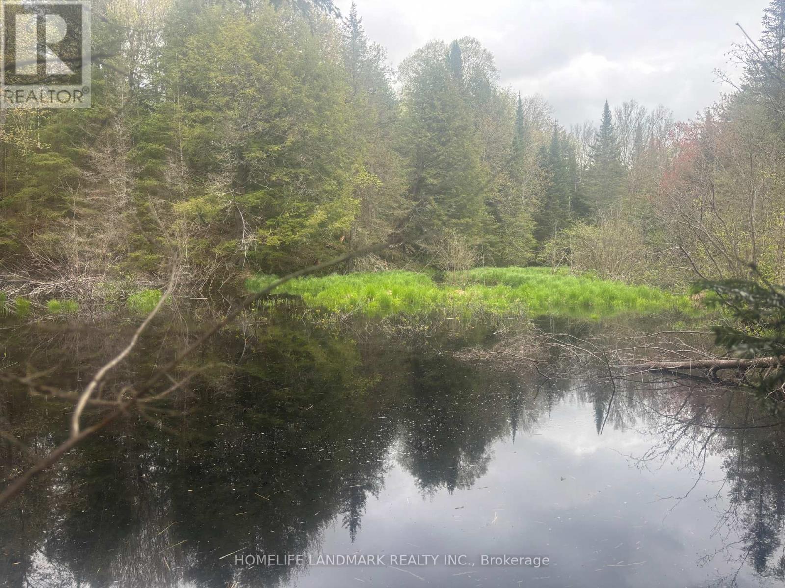 1995 Bear Cave Road, Muskoka Lakes, Ontario  P0C 1J0 - Photo 19 - X12111246