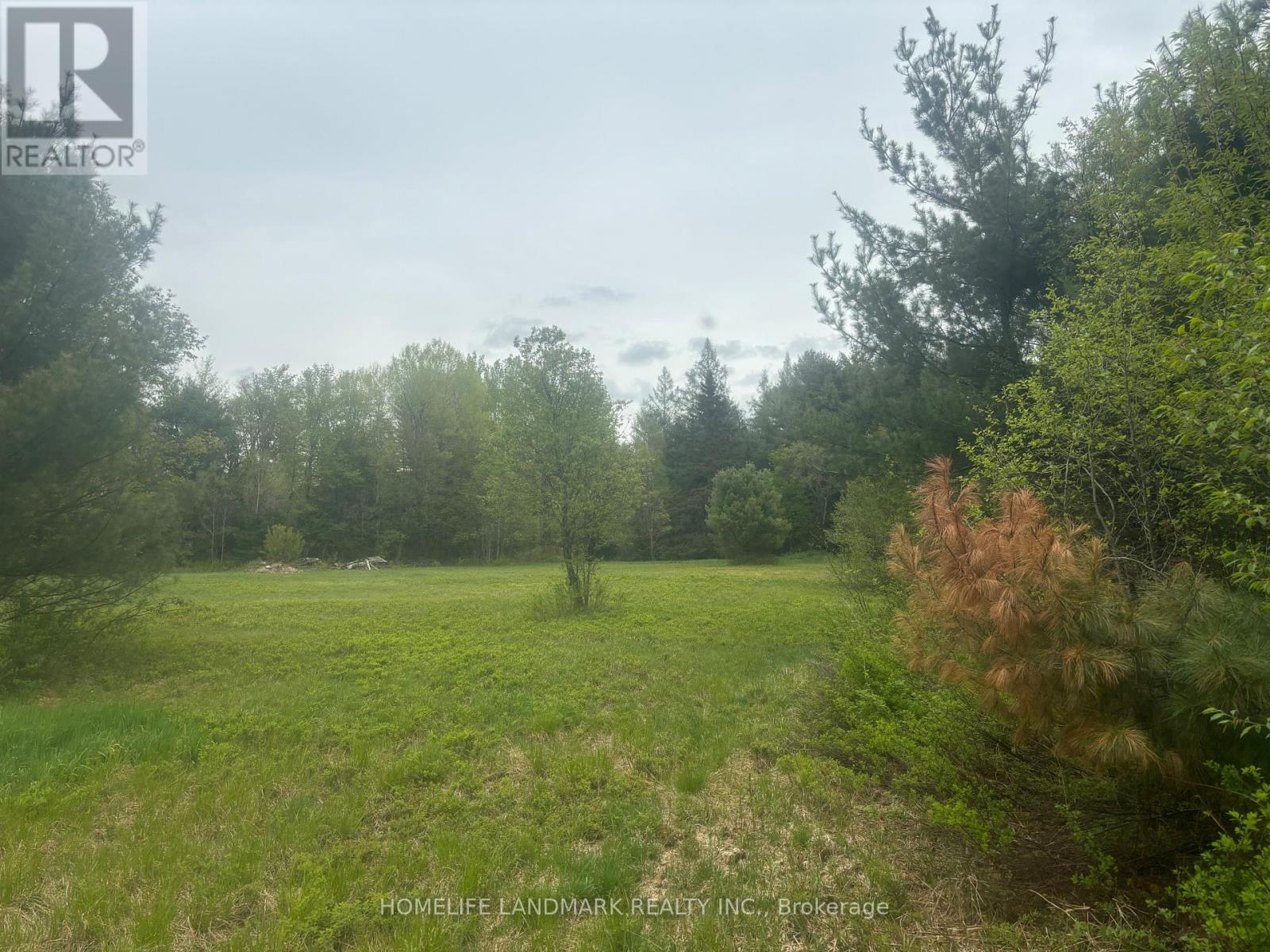 1995 Bear Cave Road, Muskoka Lakes, Ontario  P0C 1J0 - Photo 10 - X12111246