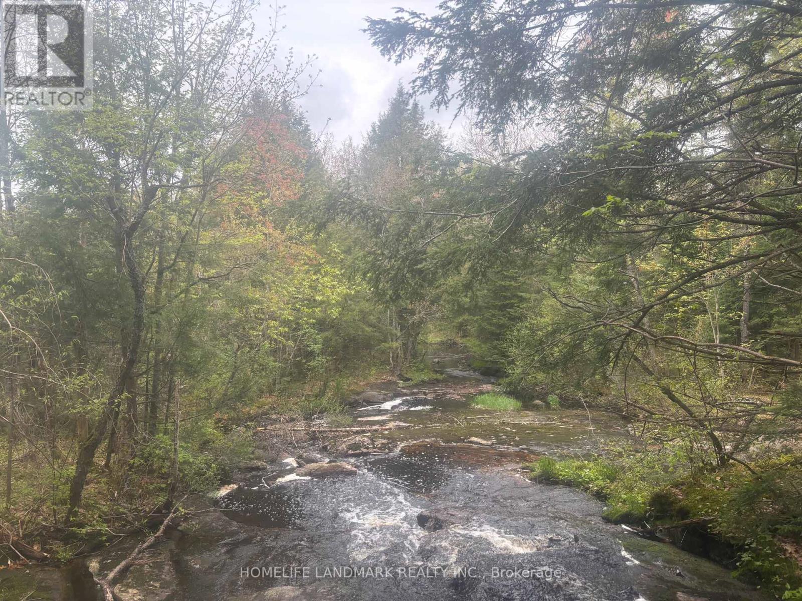 1995 Bear Cave Road, Muskoka Lakes, Ontario  P0C 1J0 - Photo 5 - X12111246