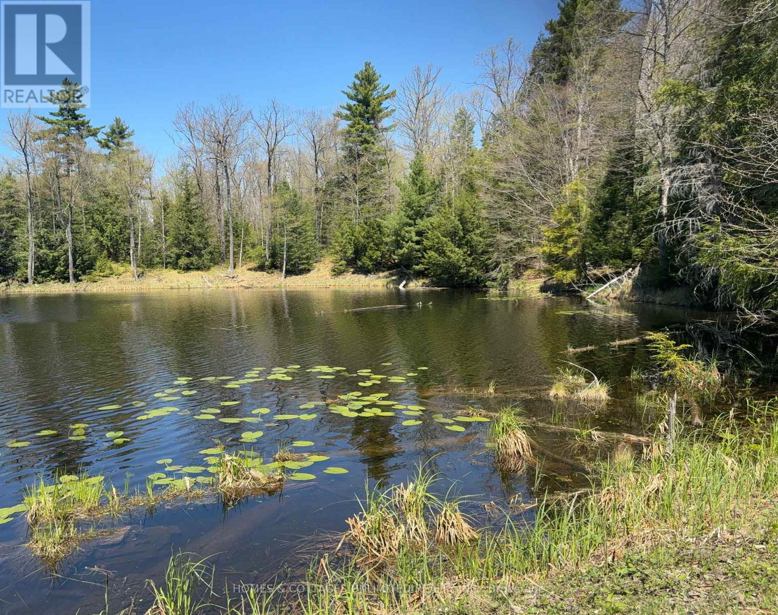 12 Stone Hill Junction Road, Greater Madawaska, Ontario  K0H 0G0 - Photo 9 - X12157248
