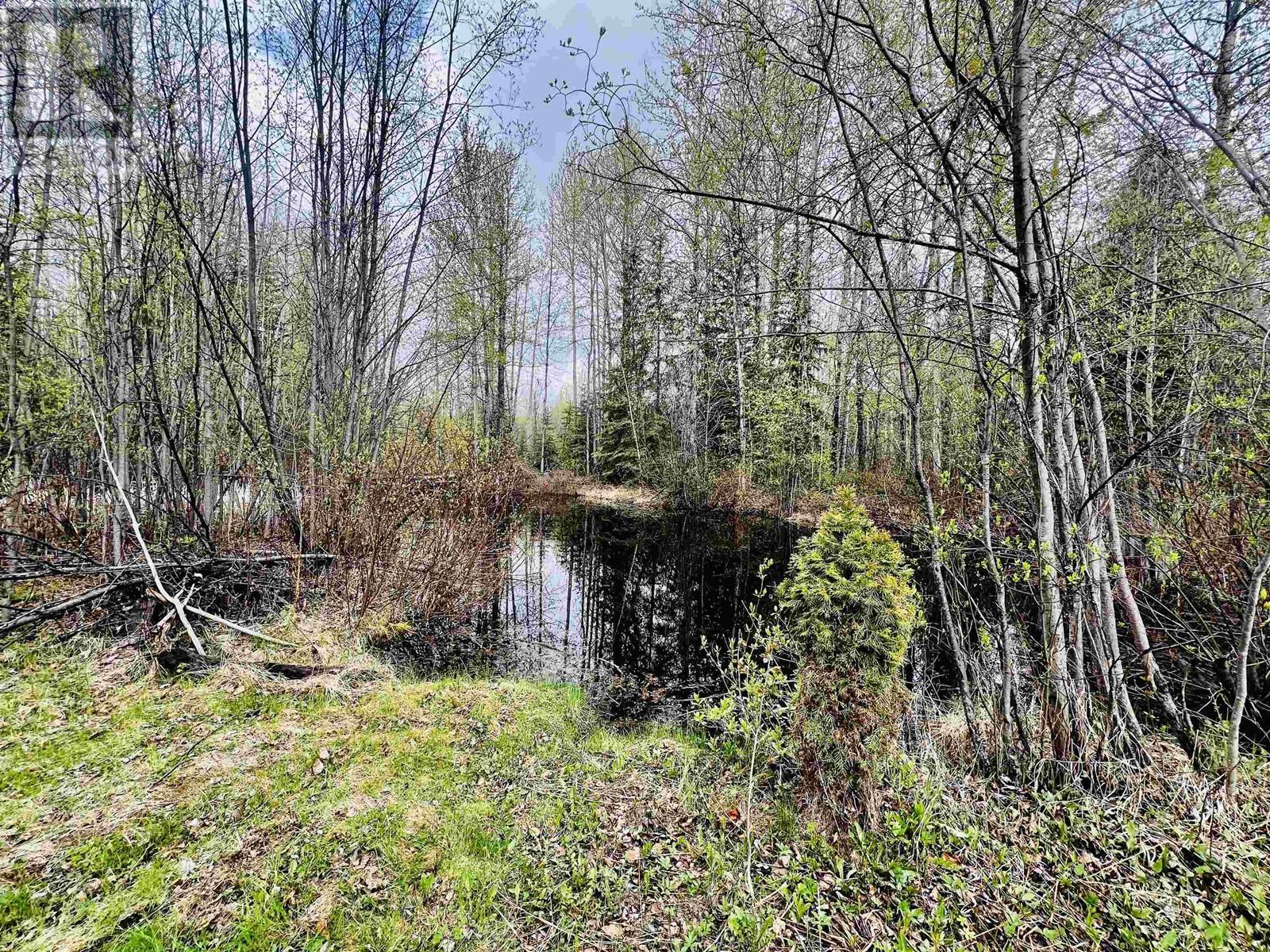 11489 Roy Road, Burns Lake, British Columbia  V0J 1E1 - Photo 28 - R2959810