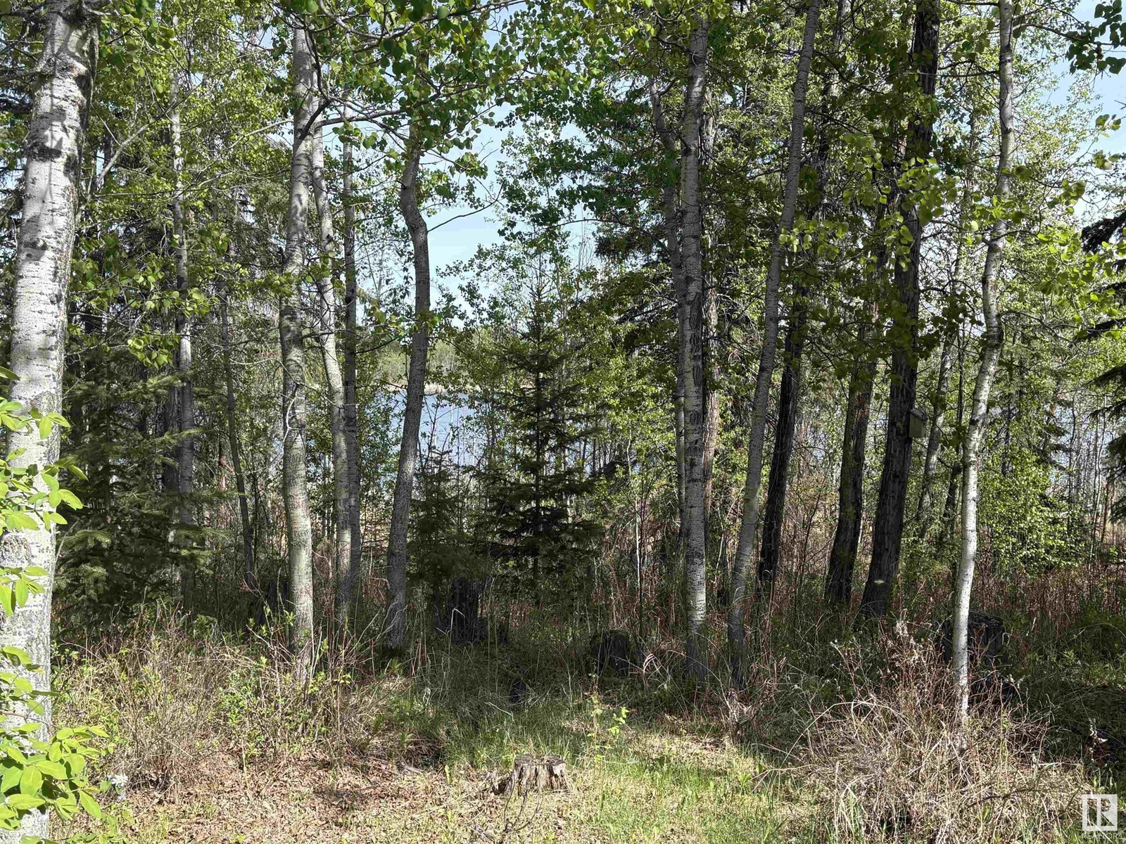 61109 Rr 250, Rural Westlock County, Alberta  T0G 0P0 - Photo 17 - E4437267