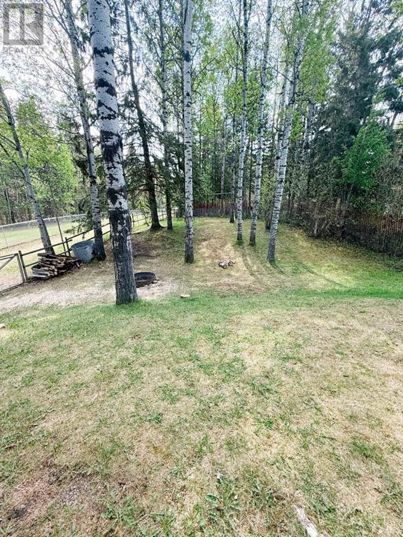 5305 57 Avenue, Rocky Mountain House, Alberta  T4T 1A5 - Photo 23 - A2222043