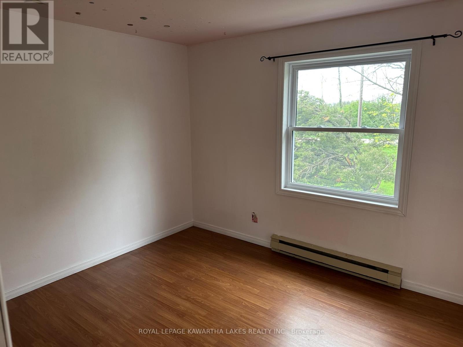 1141 Lorneville Road, Kawartha Lakes, Ontario  K0M 2T0 - Photo 13 - X12157352