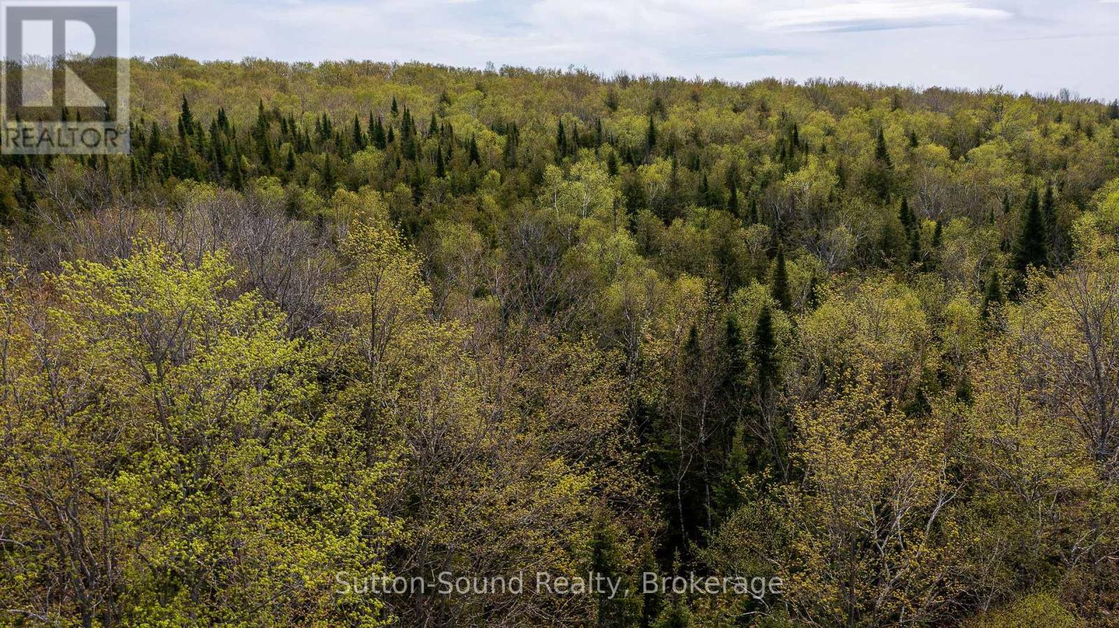 502054 Grey Rd 1 Road, Georgian Bluffs, Ontario  N0H 2T0 - Photo 10 - X11963402