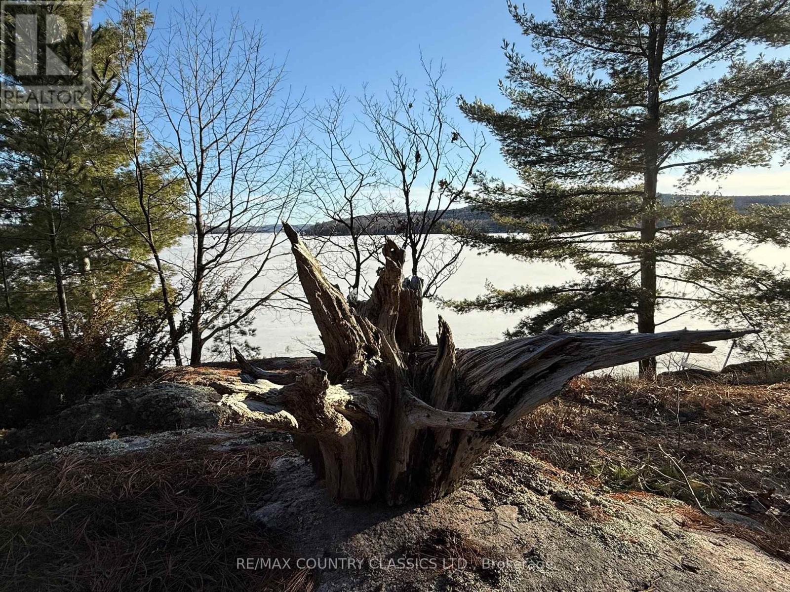 272 Mask Island Drive S, Madawaska Valley, Ontario  K0J 1B0 - Photo 16 - X12088497