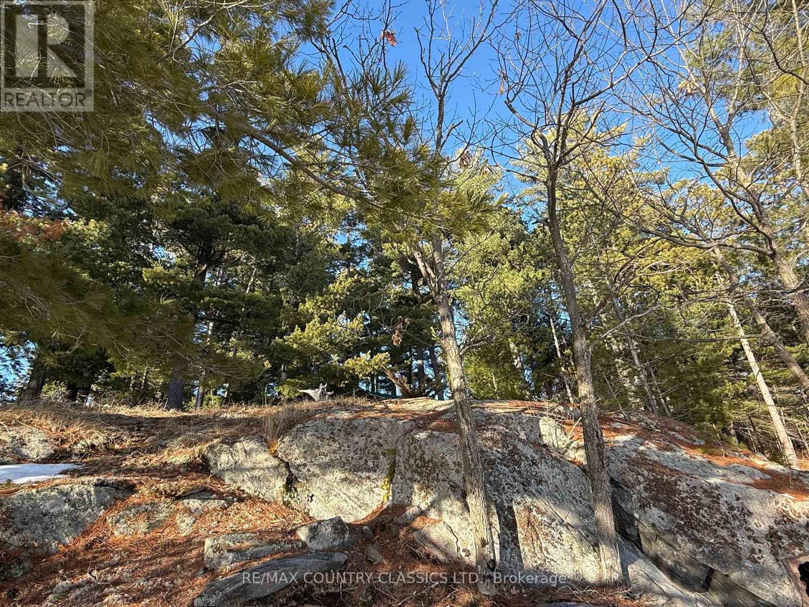 272 Mask Island Drive S, Madawaska Valley, Ontario  K0J 1B0 - Photo 13 - X12088497