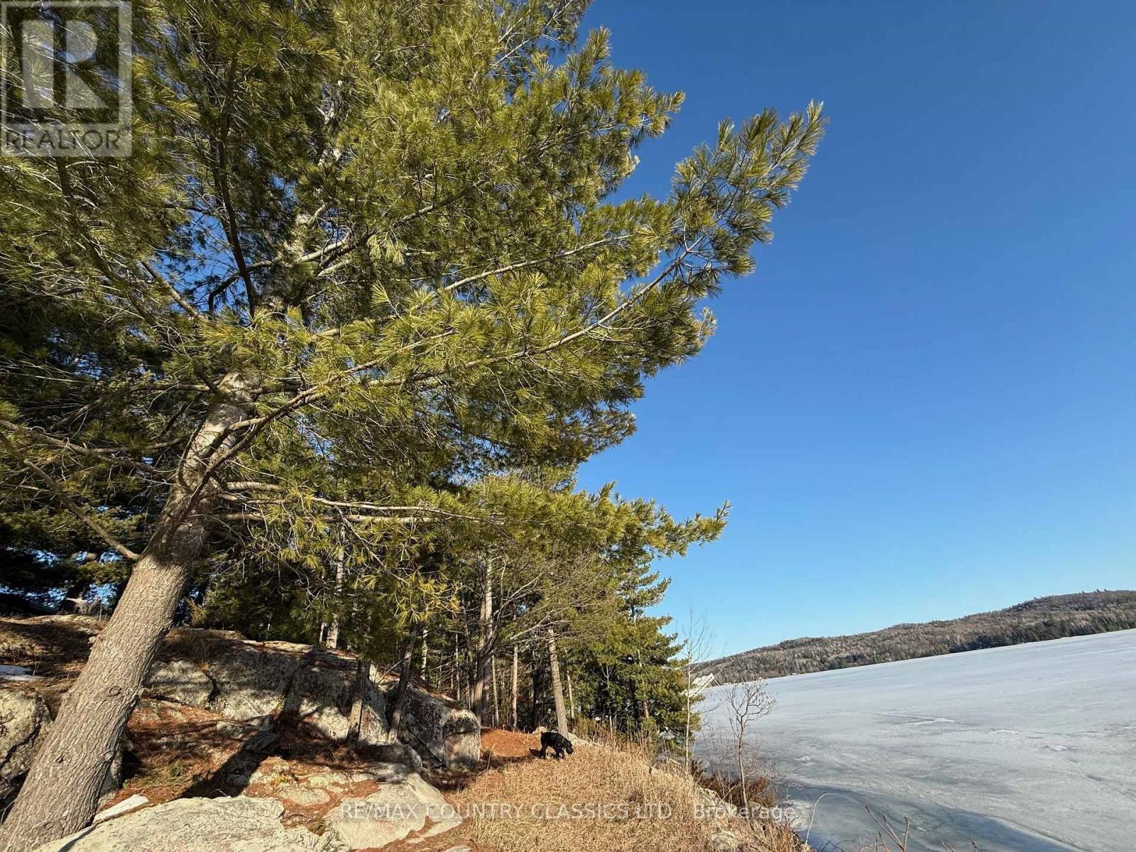 272 Mask Island Drive S, Madawaska Valley, Ontario  K0J 1B0 - Photo 7 - X12088497