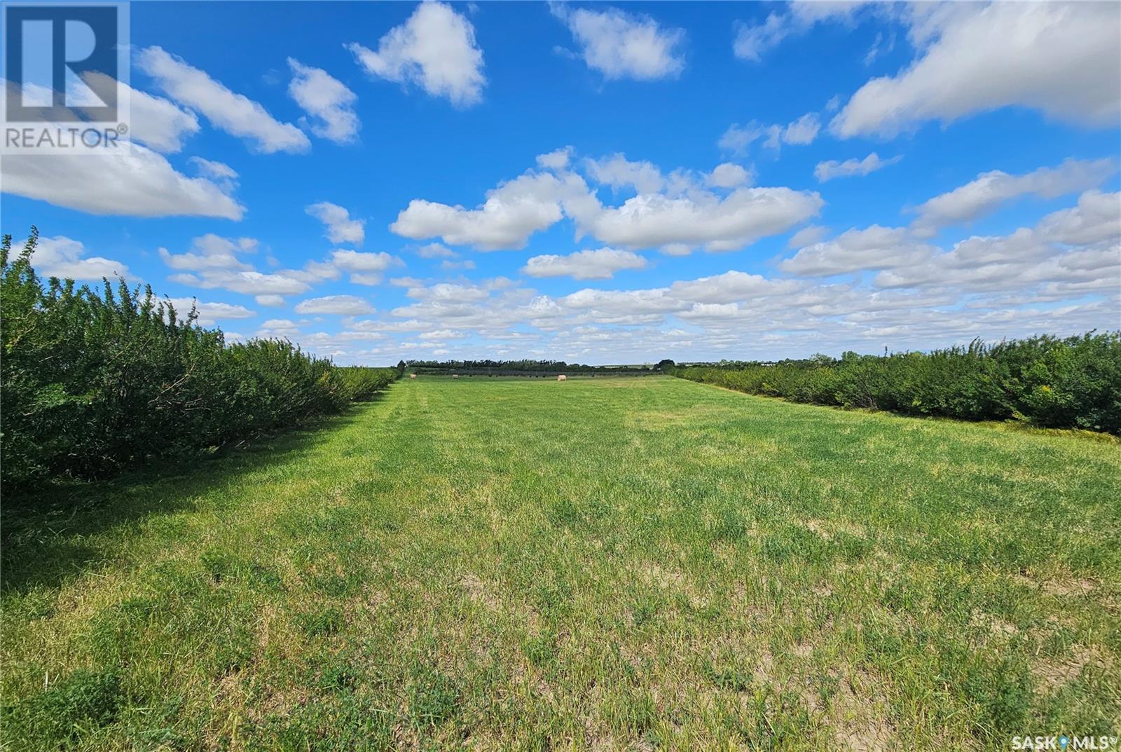 40+ Acres, Miry Creek Rm No. 229, Saskatchewan  S0N 0A0 - Photo 7 - SK994030