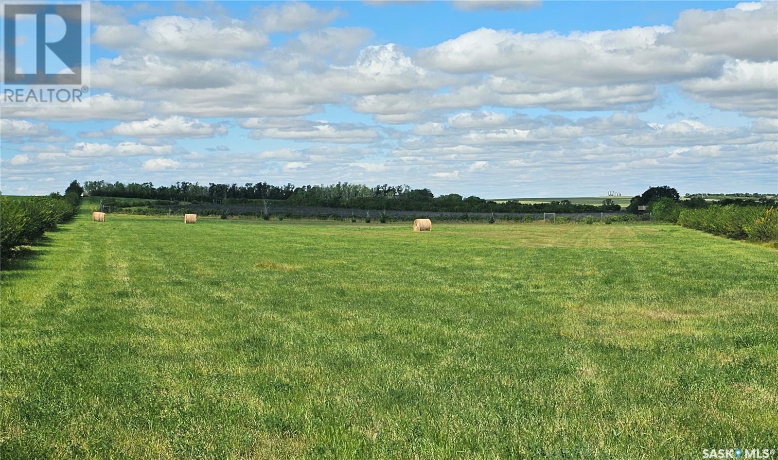 40+ Acres, Miry Creek Rm No. 229, Saskatchewan  S0N 0A0 - Photo 6 - SK994030