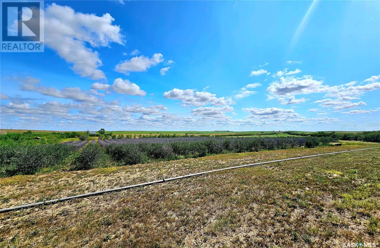 40+ Acres, Miry Creek Rm No. 229, Saskatchewan  S0N 0A0 - Photo 3 - SK994030