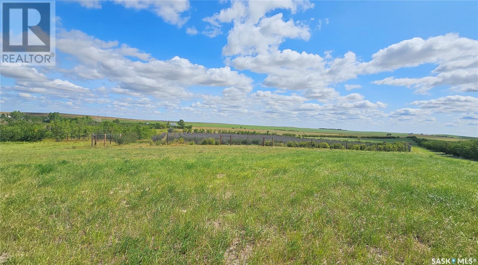 40+ Acres, Miry Creek Rm No. 229, Saskatchewan  S0N 0A0 - Photo 8 - SK994030