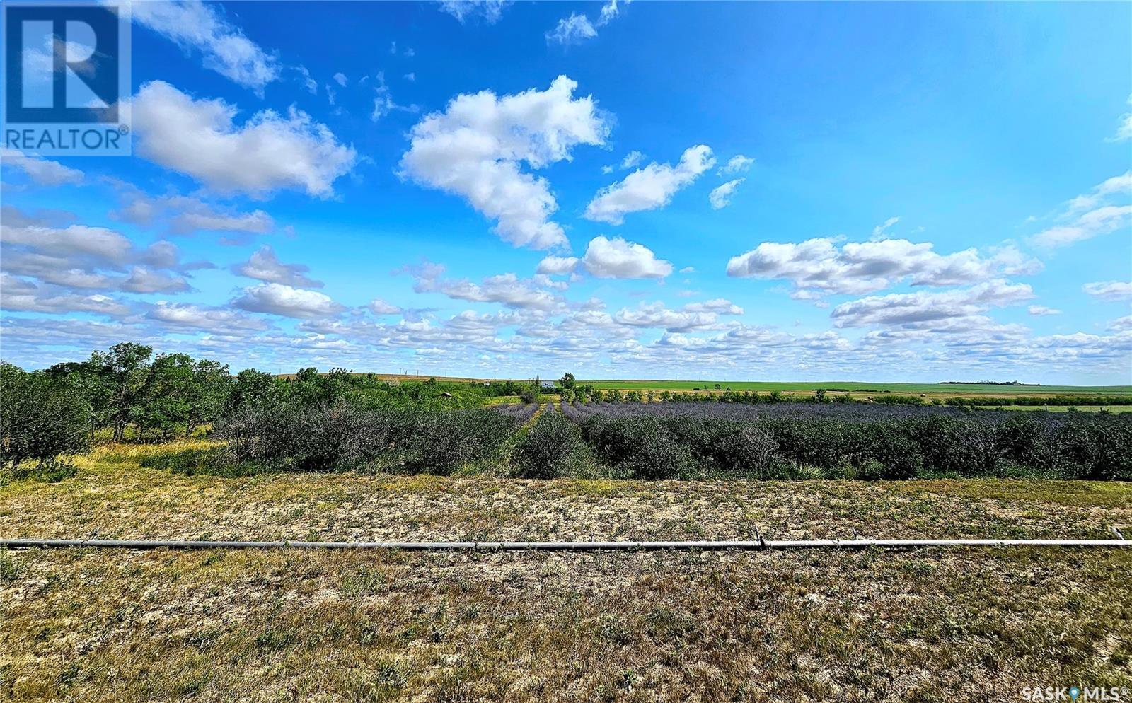 40+ Acres, Miry Creek Rm No. 229, Saskatchewan  S0N 0A0 - Photo 2 - SK994030