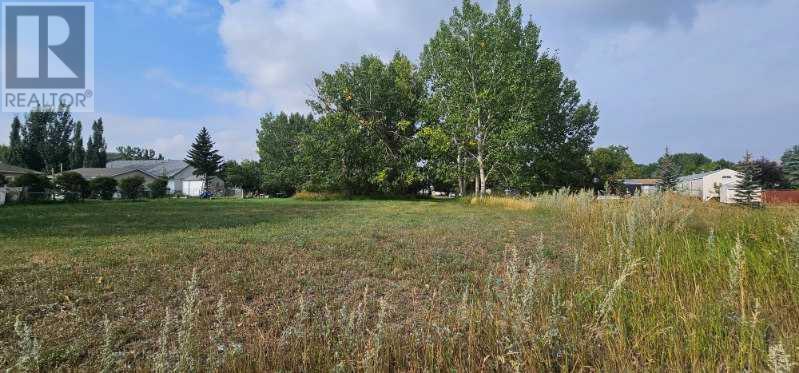 3 Oxford Drive, Carbon, Alberta  T0J 0L0 - Photo 7 - A2202367