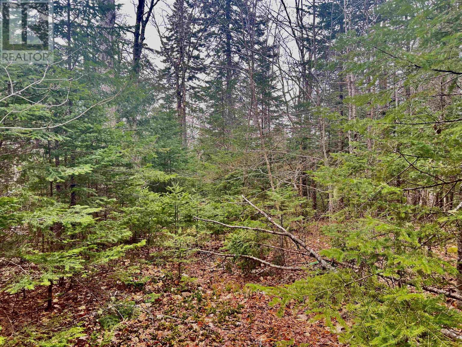 Lot 18 Stonebroke Road, New Russell, Nova Scotia  B0J 2M0 - Photo 6 - 202511195