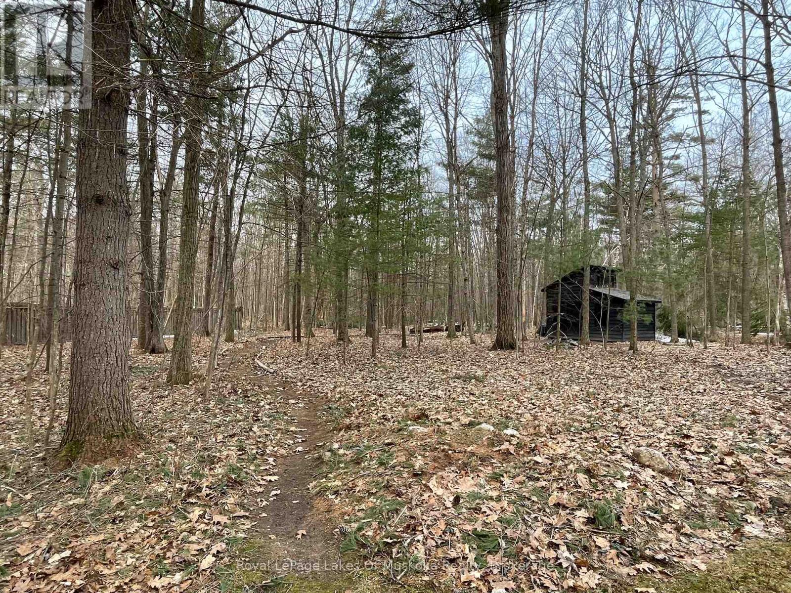 200 Tiffany Trail, Gravenhurst, Ontario  P1P 1A6 - Photo 35 - X12083174