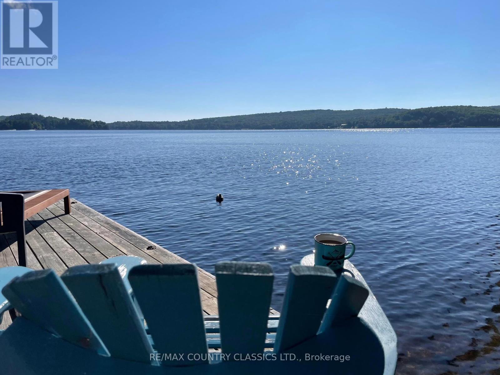 431 Bowers Point Road, Hastings Highlands, Ontario  K0L 1C0 - Photo 10 - X11933774