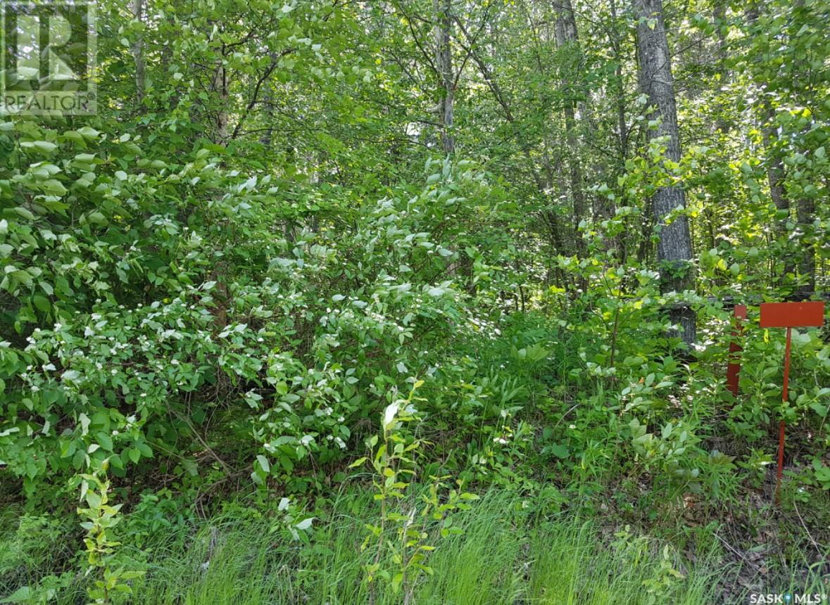 23 Delaronde Way (John Dunn Estates), Big River Rm No. 555, Saskatchewan  S0J 0E0 - Photo 10 - SK006370