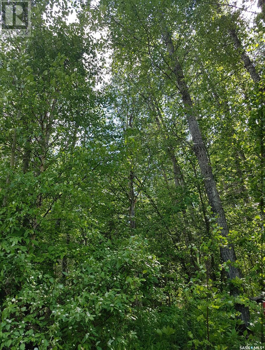 23 Delaronde Way (John Dunn Estates), Big River Rm No. 555, Saskatchewan  S0J 0E0 - Photo 12 - SK006370