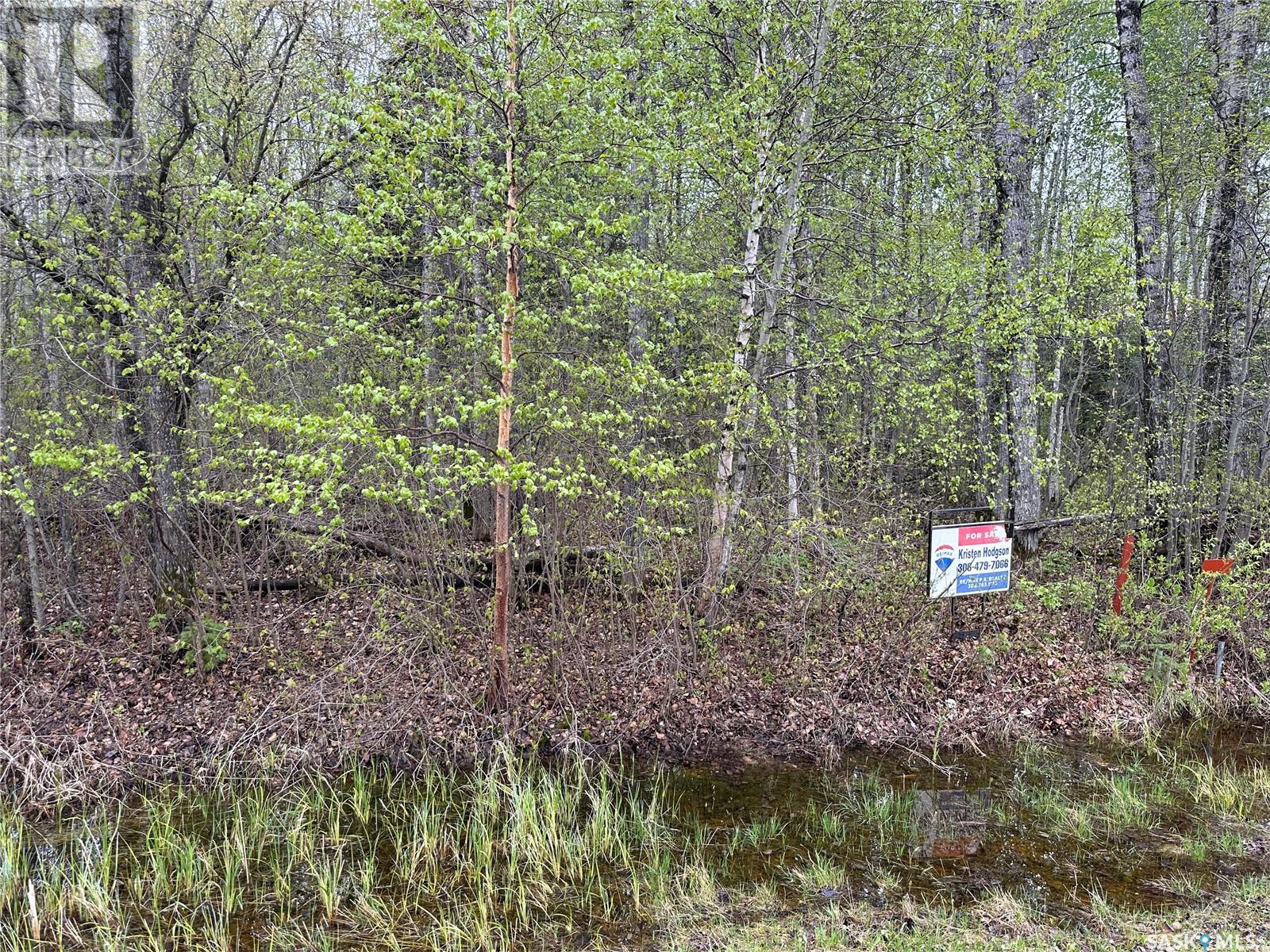 23 Delaronde Way (John Dunn Estates), Big River Rm No. 555, Saskatchewan  S0J 0E0 - Photo 4 - SK006370