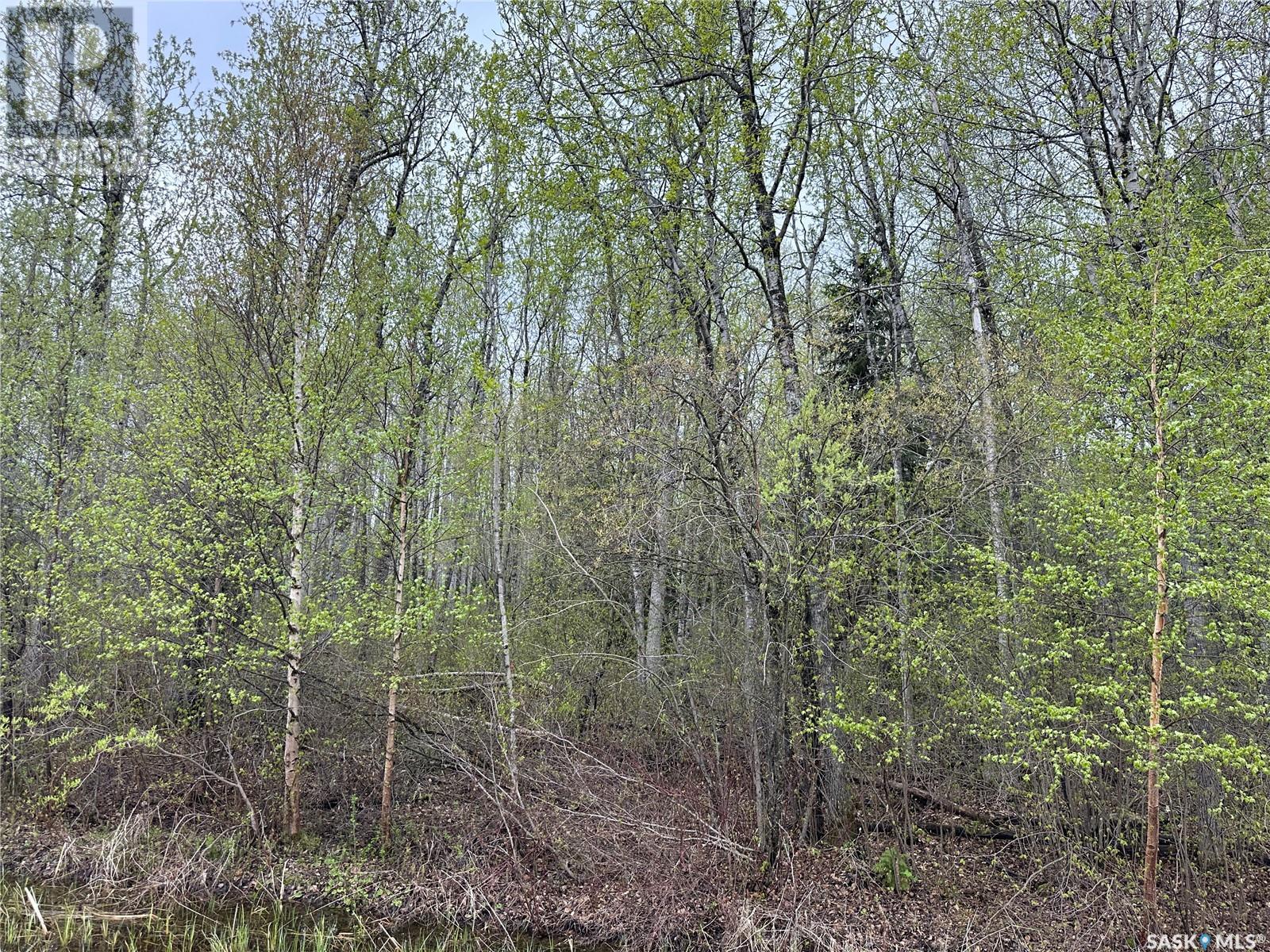 23 Delaronde Way (John Dunn Estates), Big River Rm No. 555, Saskatchewan  S0J 0E0 - Photo 6 - SK006370