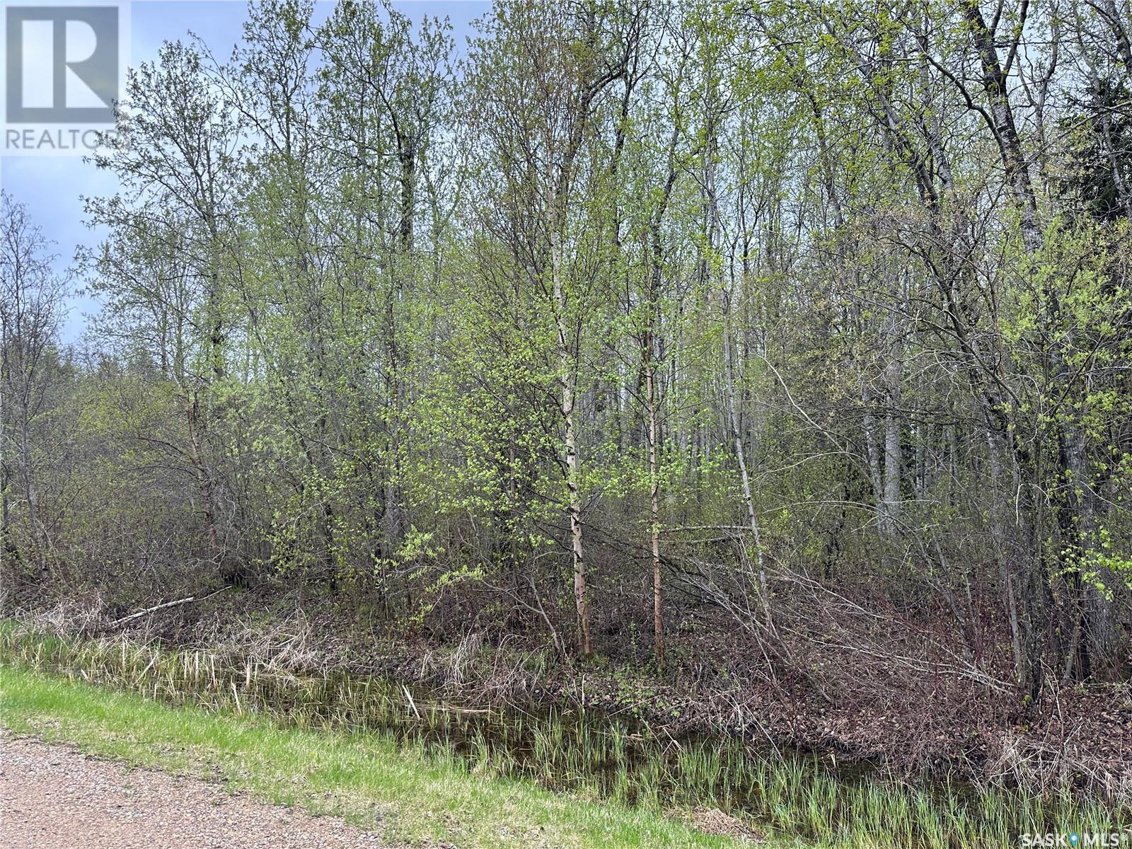 23 Delaronde Way (John Dunn Estates), Delaronde Lake, Saskatchewan  S0J 0E0 - Photo 7 - SK006370