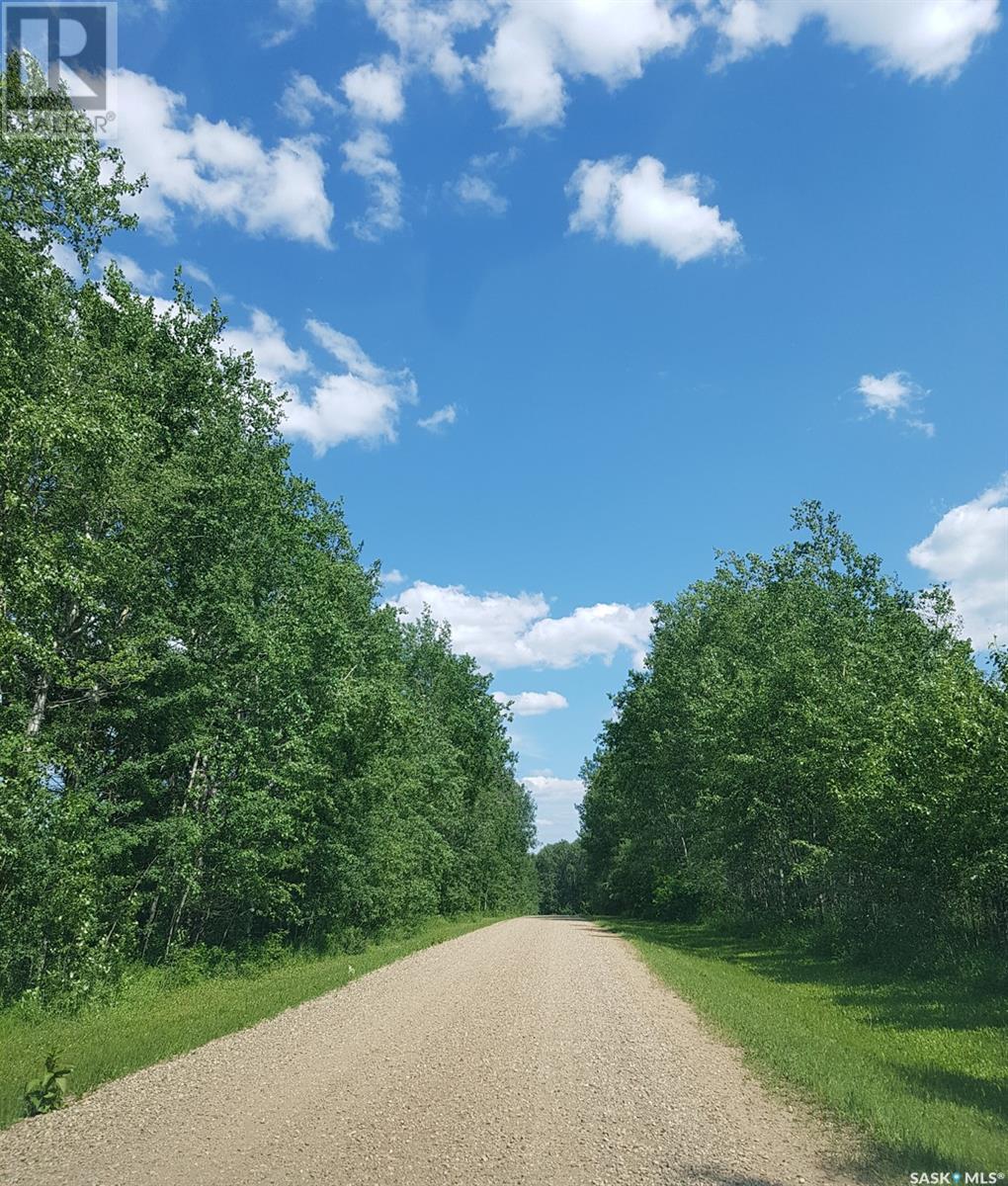 23 Delaronde Way (John Dunn Estates), Big River Rm No. 555, Saskatchewan  S0J 0E0 - Photo 9 - SK006370
