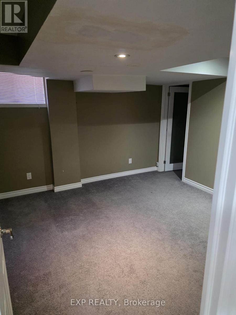 Basement - 29 Rubysilver Drive, Brampton, Ontario  L6P 1R1 - Photo 4 - W12157658