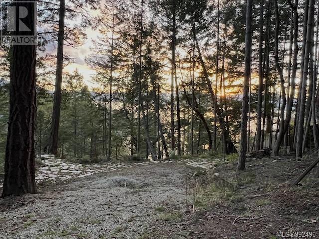 Lot 26 Mountain Park Dr, Salt Spring, British Columbia  V8K 1G3 - Photo 13 - 992490