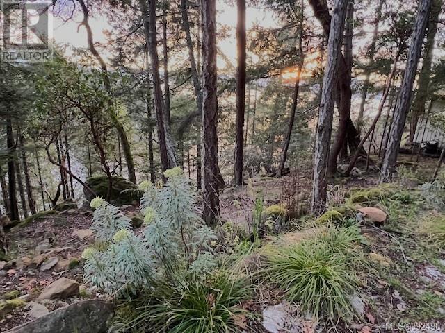 Lot 26 Mountain Park Dr, Salt Spring, British Columbia  V8K 1G3 - Photo 14 - 992490