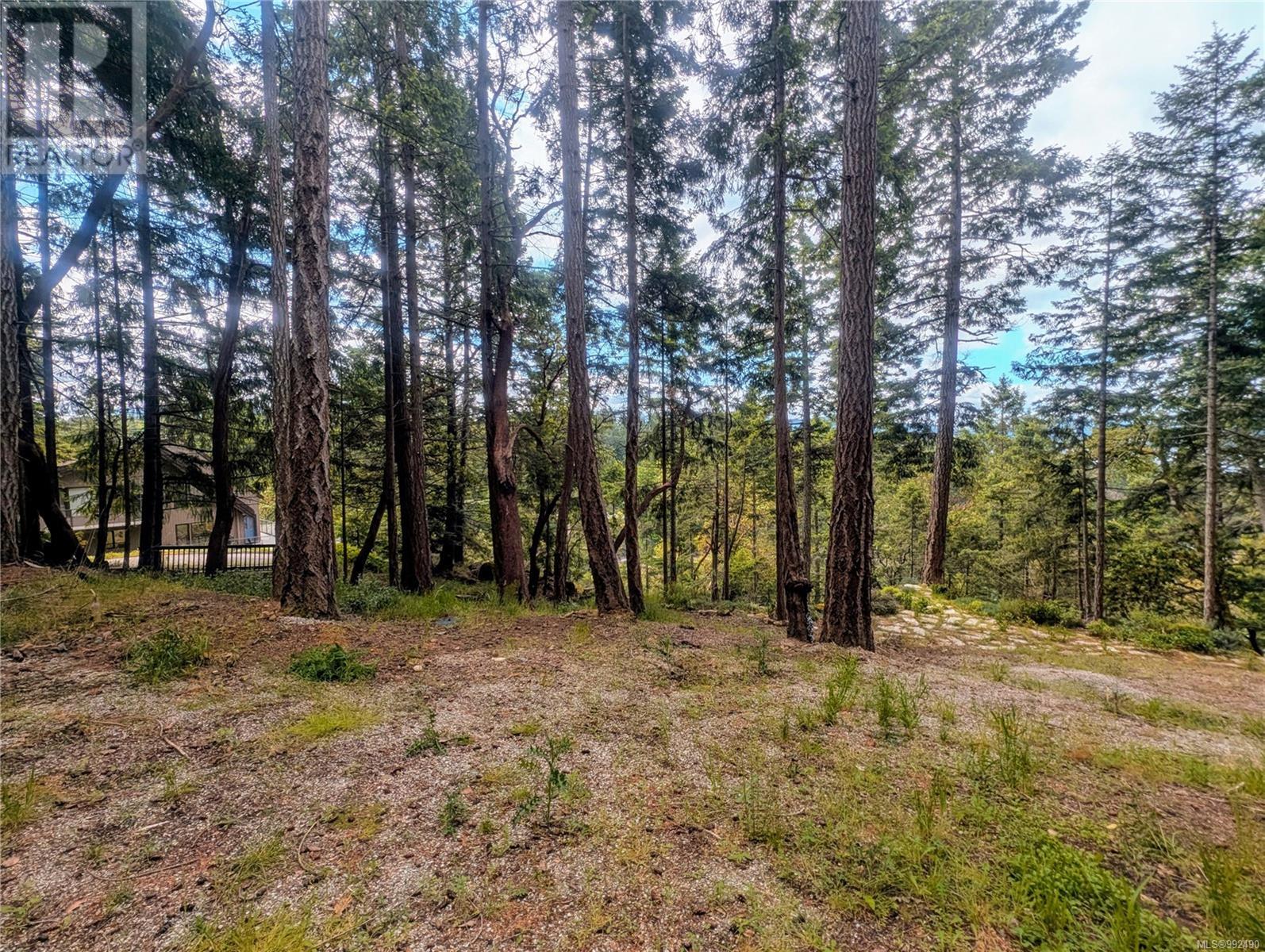 Lot 26 Mountain Park Dr, Salt Spring, British Columbia  V8K 1G3 - Photo 9 - 992490
