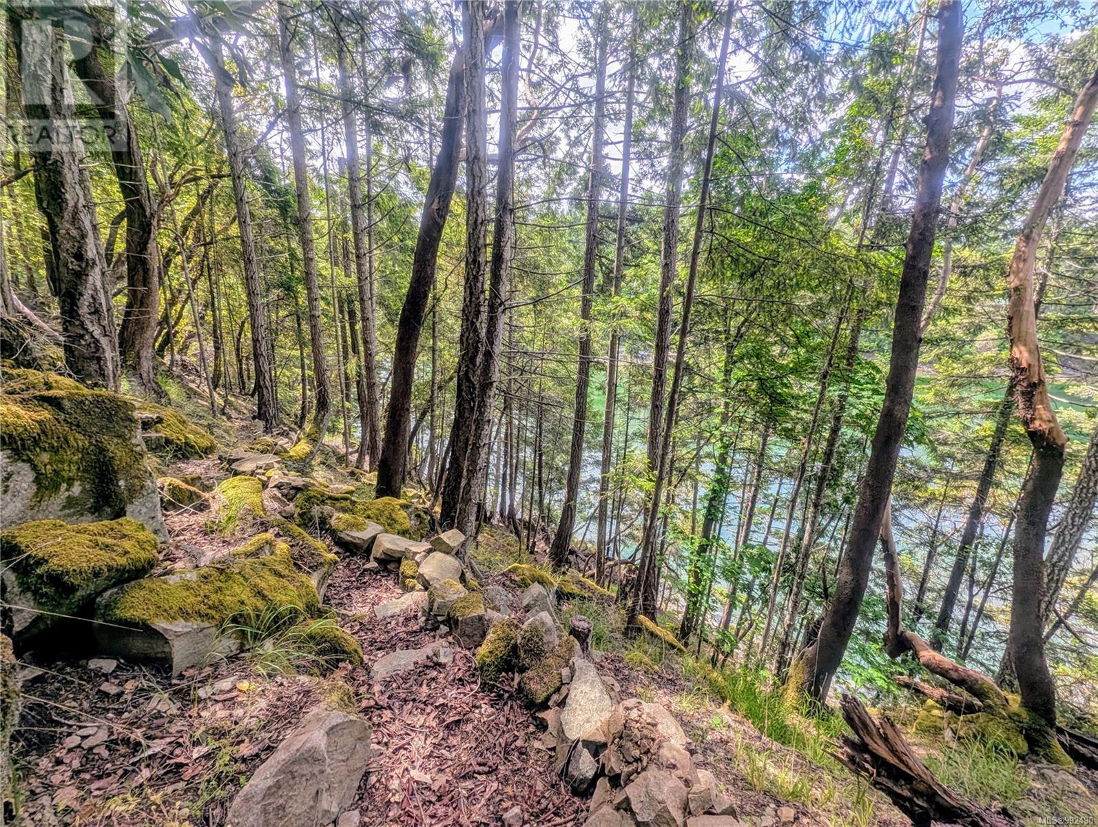 Lot 26 Mountain Park Dr, Salt Spring, British Columbia  V8K 1G3 - Photo 25 - 992490
