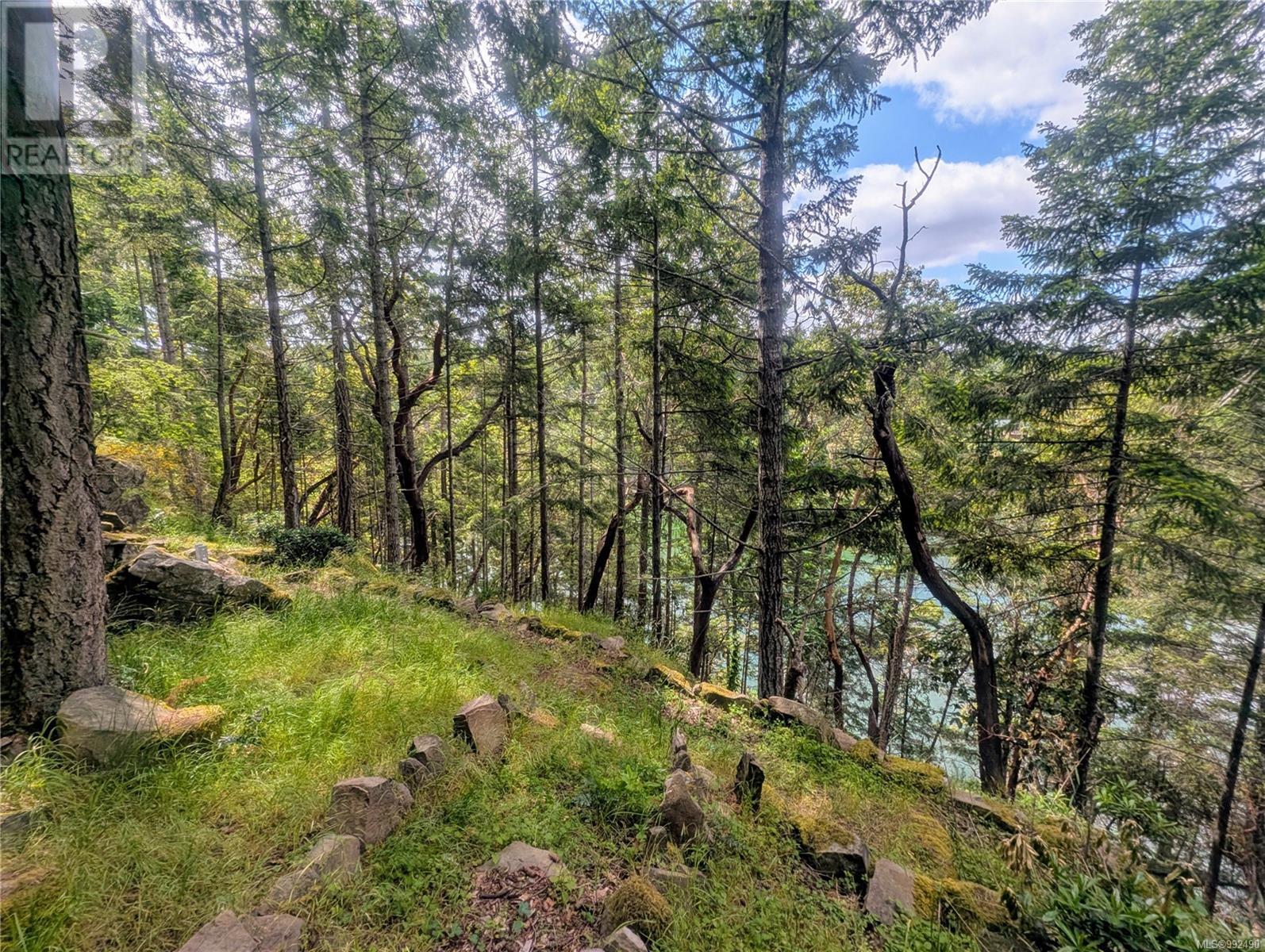 Lot 26 Mountain Park Dr, Salt Spring, British Columbia  V8K 1G3 - Photo 24 - 992490