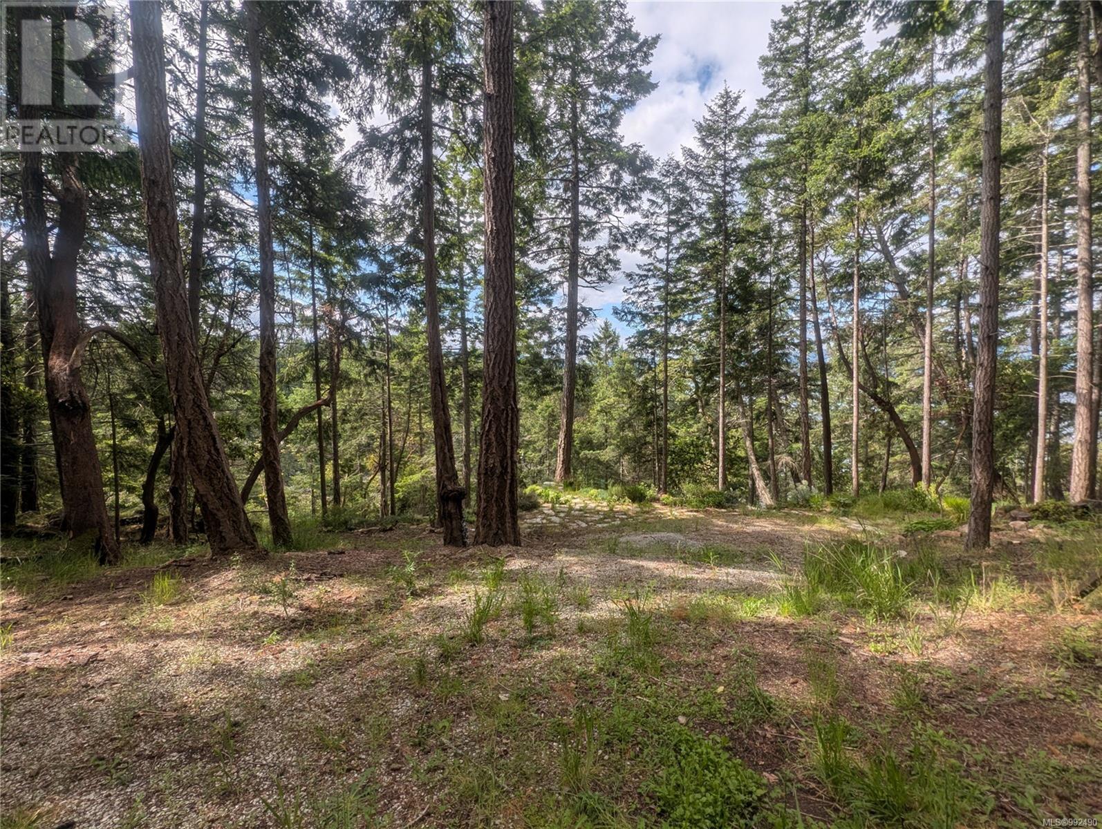 Lot 26 Mountain Park Dr, Salt Spring, British Columbia  V8K 1G3 - Photo 19 - 992490