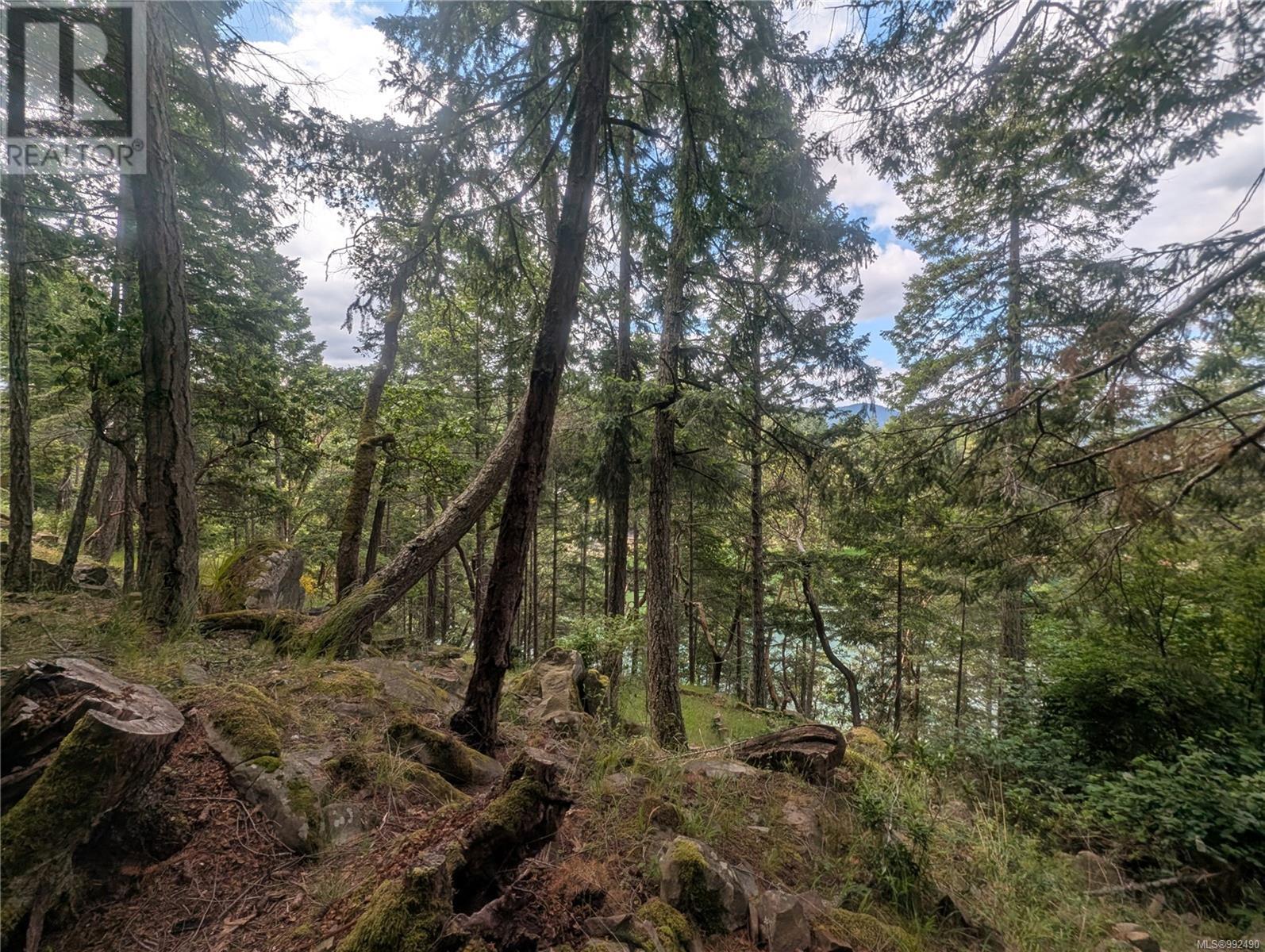 Lot 26 Mountain Park Dr, Salt Spring, British Columbia  V8K 1G3 - Photo 23 - 992490
