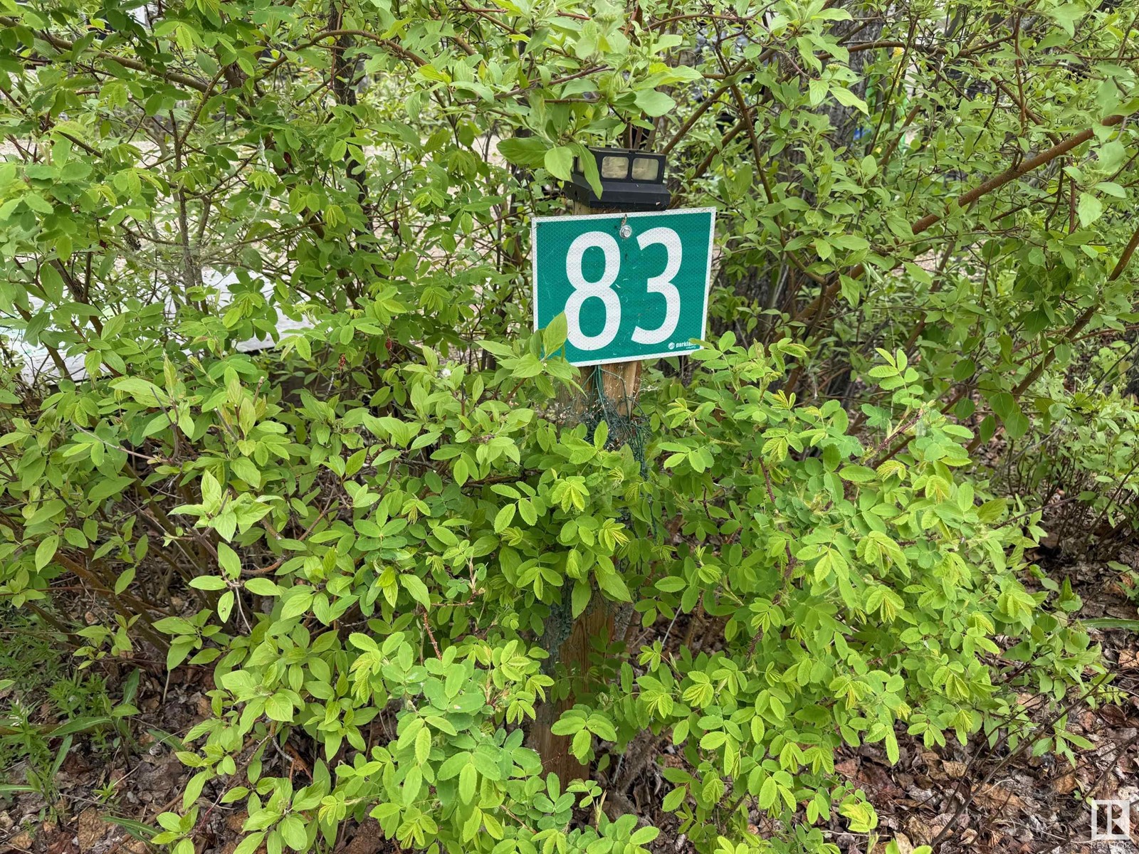 445 53509 Rge Rd 60, Rural Parkland County, Alberta  T7Y 0B5 - Photo 2 - E4431401