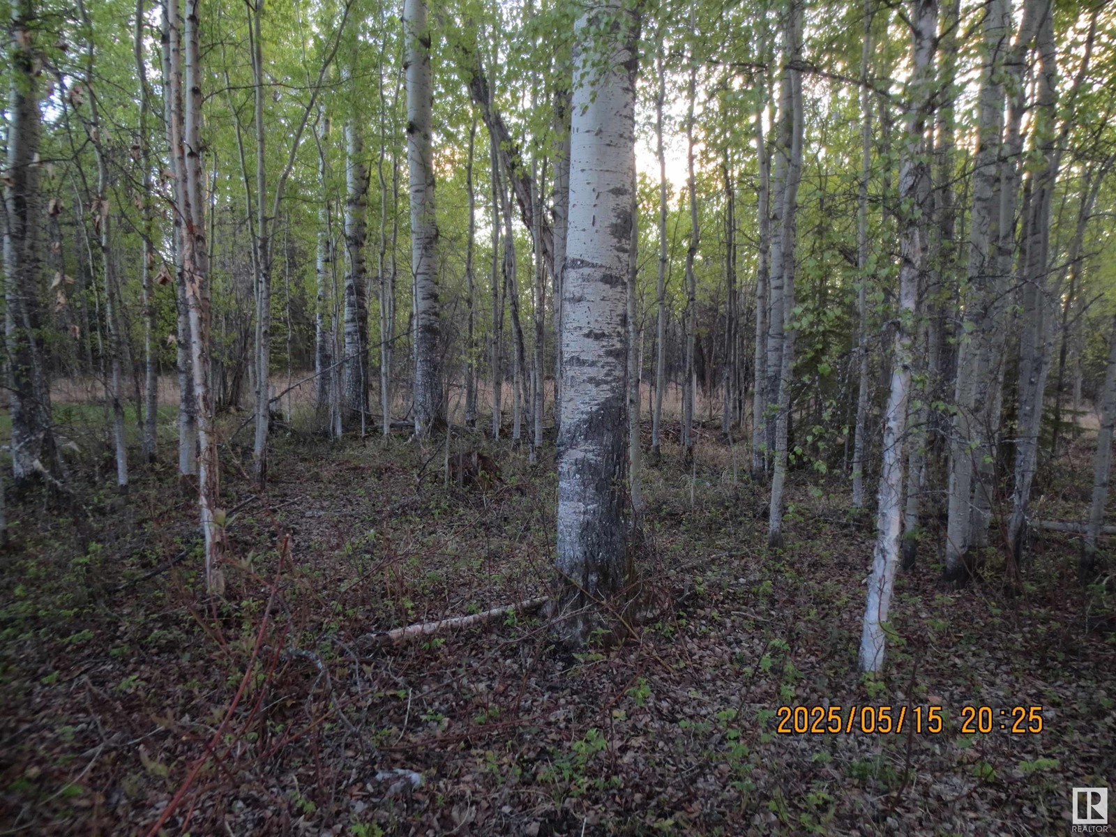 5606 51 Street, niton junction, Alberta