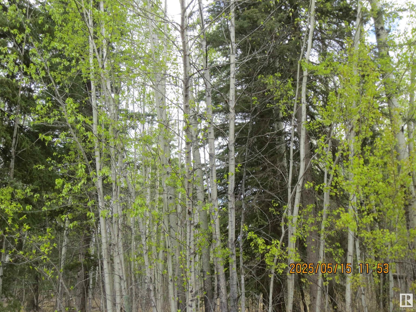 5606 51 Street, Niton Junction, Alberta  T7E 5A1 - Photo 2 - E4437344