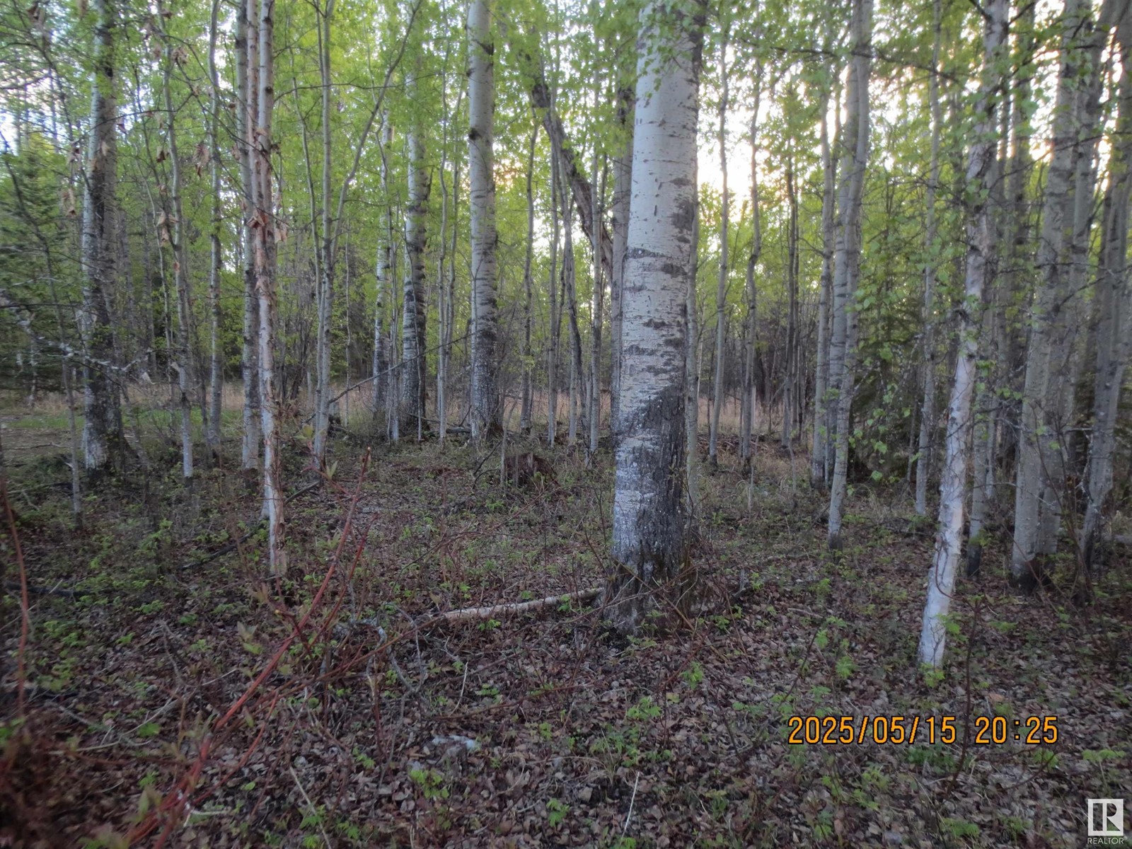 5606 51 Street, Niton Junction, Alberta  T7E 5A1 - Photo 5 - E4437344