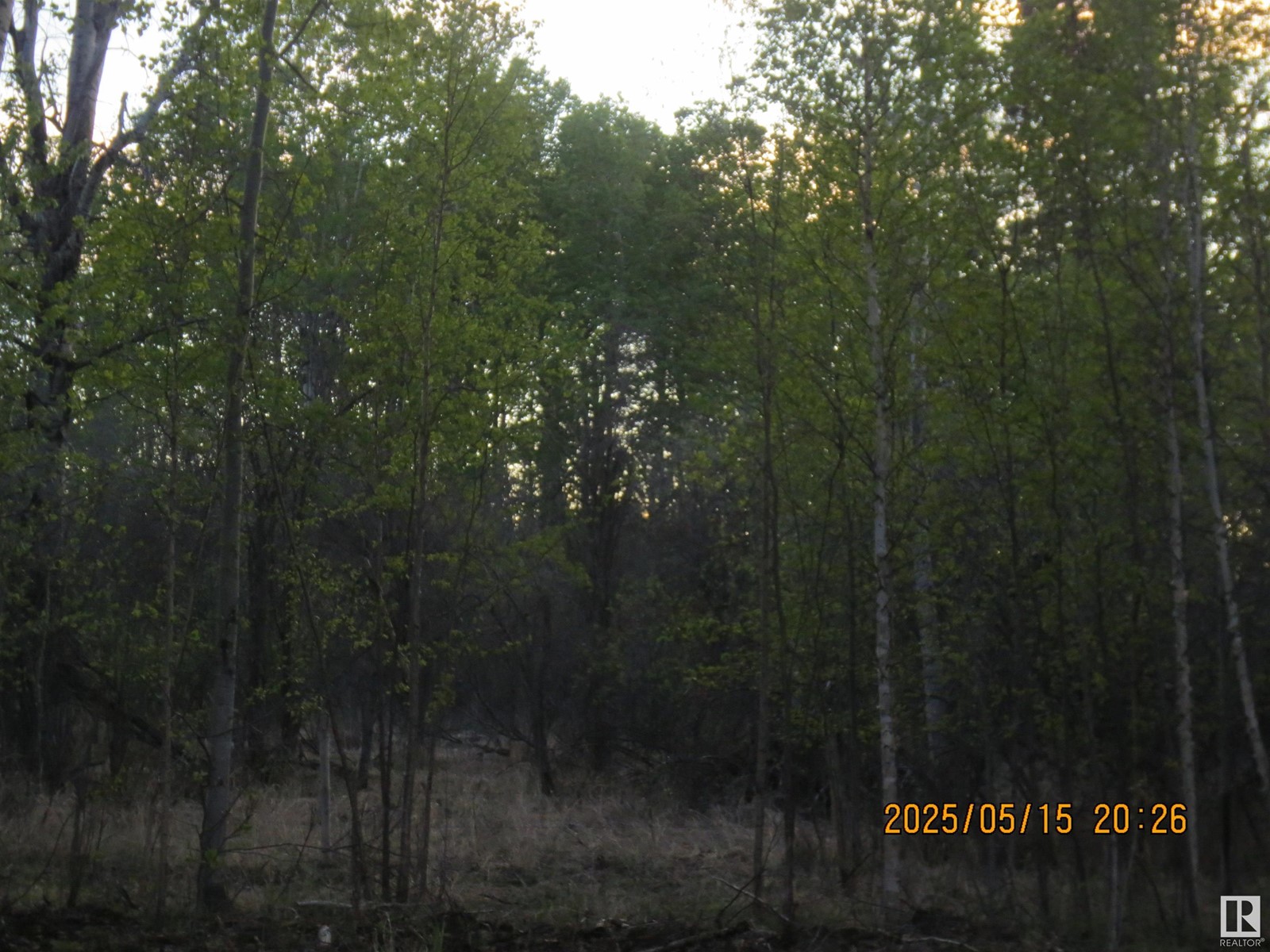 5606 51 Street, Niton Junction, Alberta  T7E 5A1 - Photo 6 - E4437344