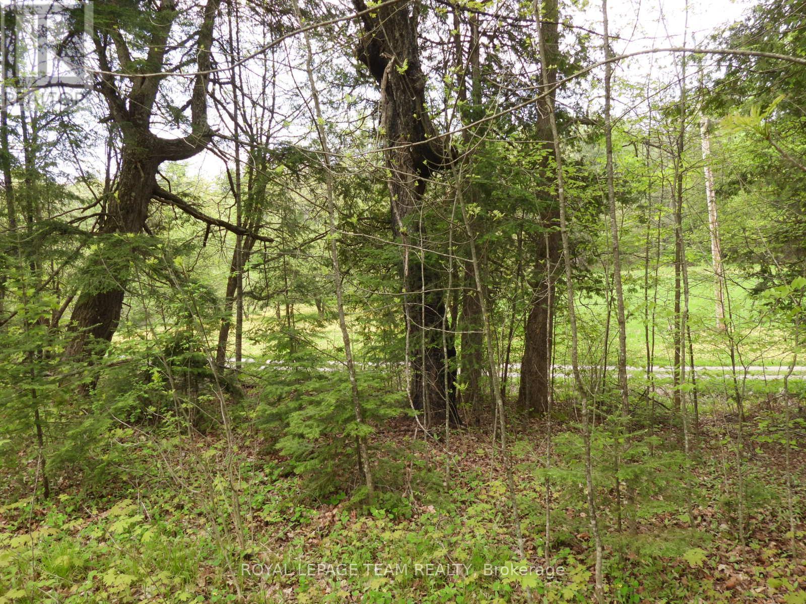 112 Mitchell Lane, Mcnab/braeside, Ontario  K7S 3G8 - Photo 22 - X12038111