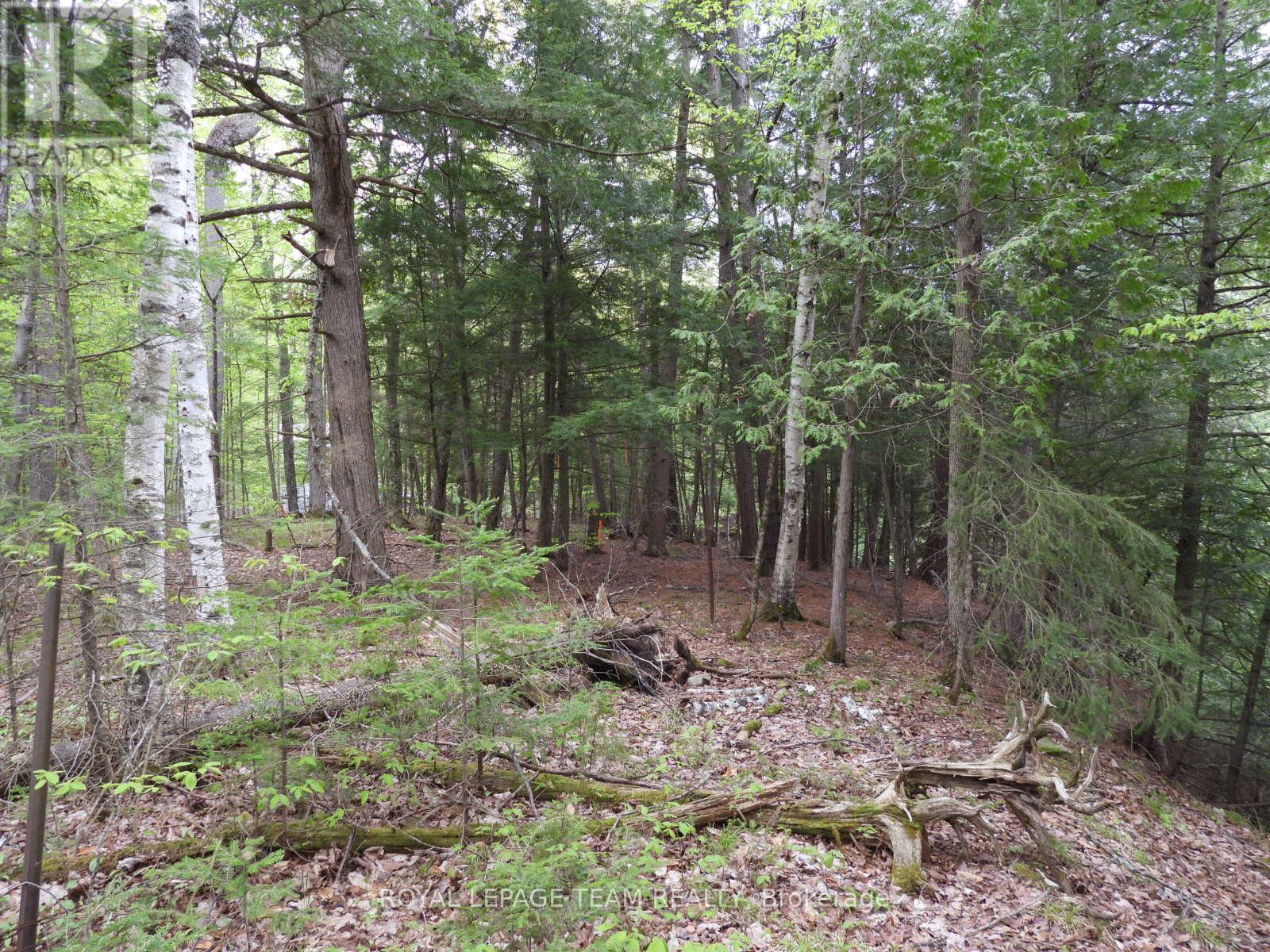 112 Mitchell Lane, Mcnab/braeside, Ontario  K7S 3G8 - Photo 11 - X12038111