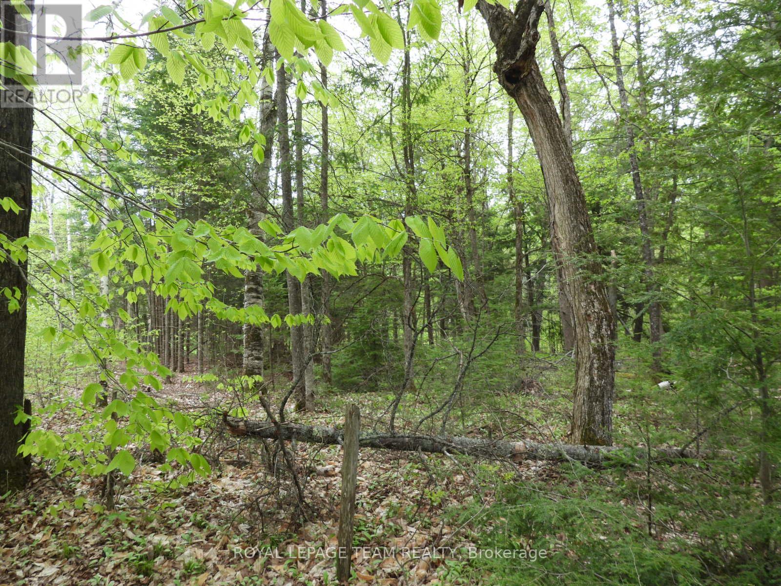 112 Mitchell Lane, Mcnab/braeside, Ontario  K7S 3G8 - Photo 10 - X12038111