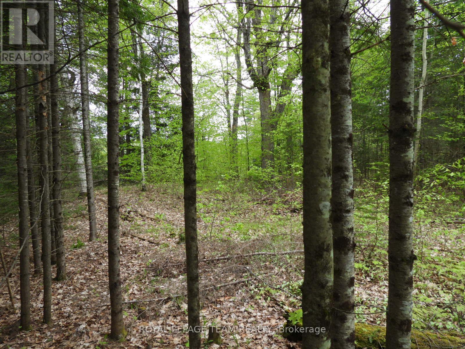 112 Mitchell Lane, Mcnab/braeside, Ontario  K7S 3G8 - Photo 17 - X12038111