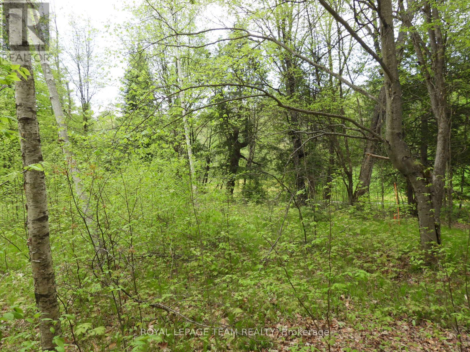 112 Mitchell Lane, Mcnab/braeside, Ontario  K7S 3G8 - Photo 18 - X12038111