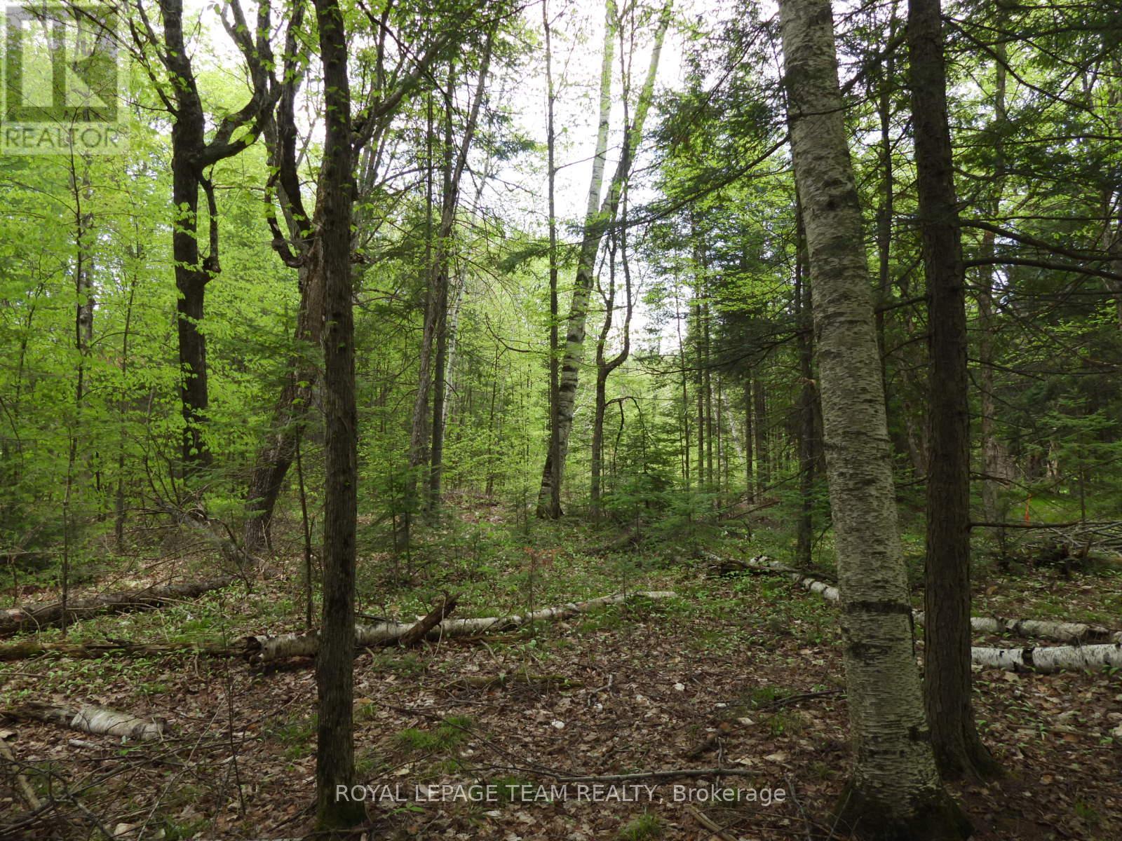 112 Mitchell Lane, Mcnab/braeside, Ontario  K7S 3G8 - Photo 14 - X12038111